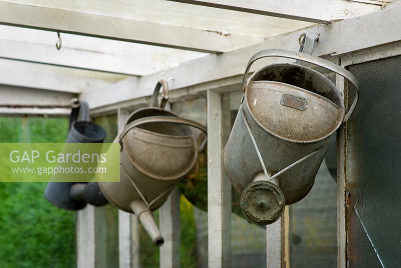 Three vintage watering cans hanging in a greenhouse
