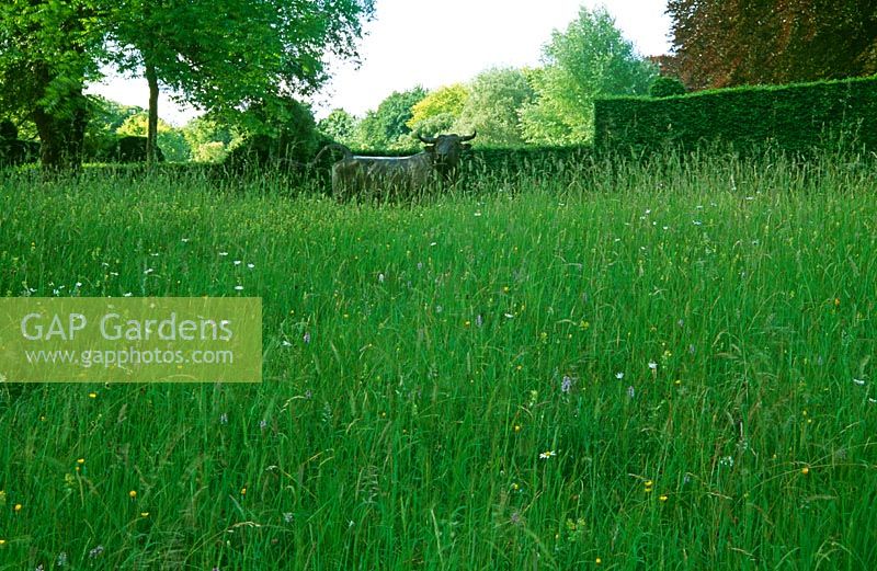 Flower rich chalk meadow below formal yew hedging of the green garden and 'Druid', a bronze bull by Nicola Toms - Cranborne Manor Garden, Cranborne, Dorset

