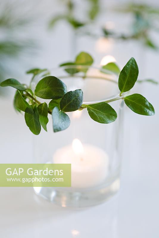 Candle holder decorated with Vinca minor foliage