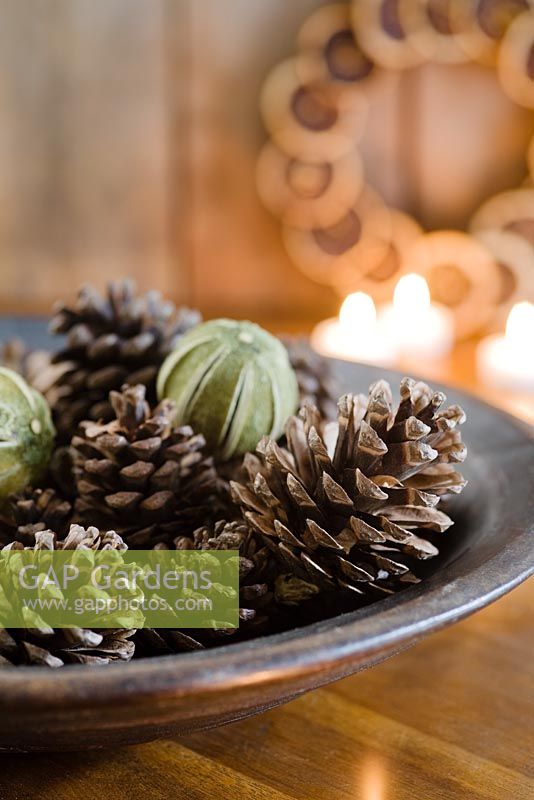 Festive arrangement of pine cones and dried limes in wooden bowl with candles in the background