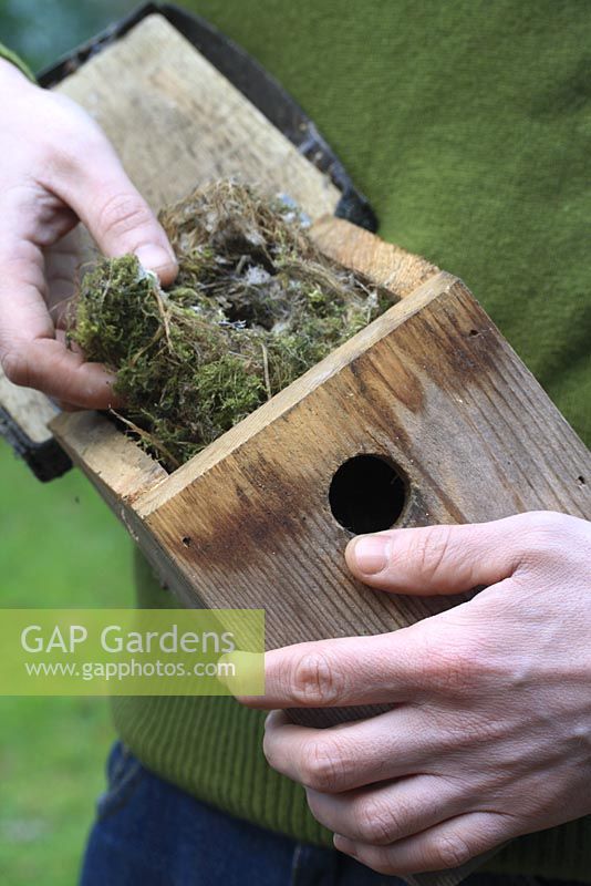 Clearing out bird nesting box in autumn