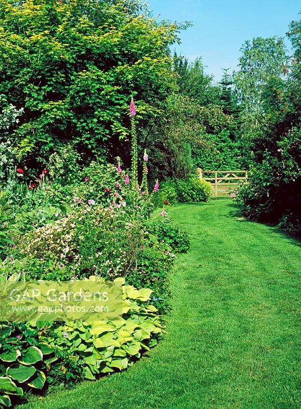 Mixed bed with curved grass pathway - Lower Severalls