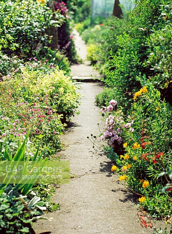 Mixed flowerbeds either side of a narrow pathway - Lower Severalls