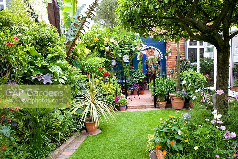 Small Moroccan style tropical garden with Cordyline australis in pot beside lawn