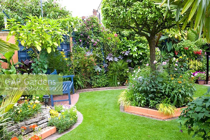 Small Moroccan style tropical garden with blue painted bench and lawn