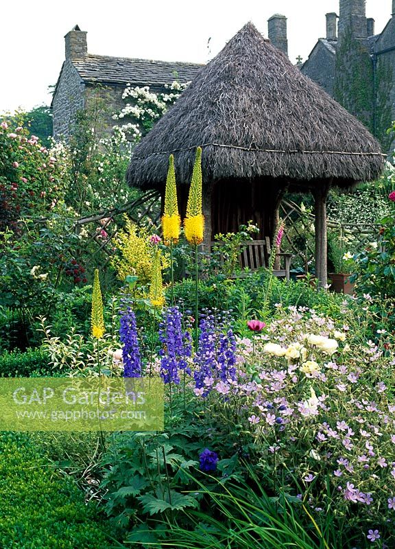 Secluded rose garden with heather thatched rustic gazebo, Eremurus Ruiter Hybrids, Delphinium mixed dwarf varieties from seed, Paeonia white and Geranium 'Phillippe Vapelle' - Lawkland Hall, Yorkshire