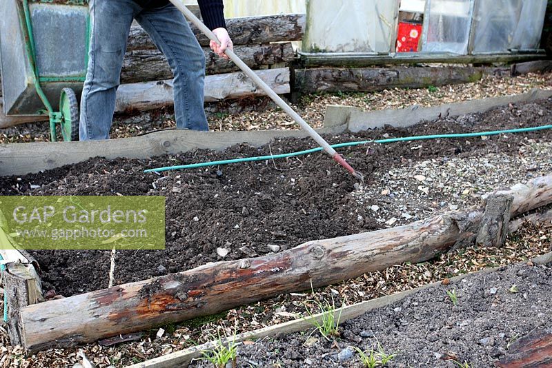 Bed preparation using a chrome to produce a tilth on a raised bed