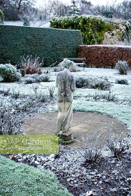 Statue of a nude female in a frosted, formal garden with beech and yew hedges and a circular rose bed