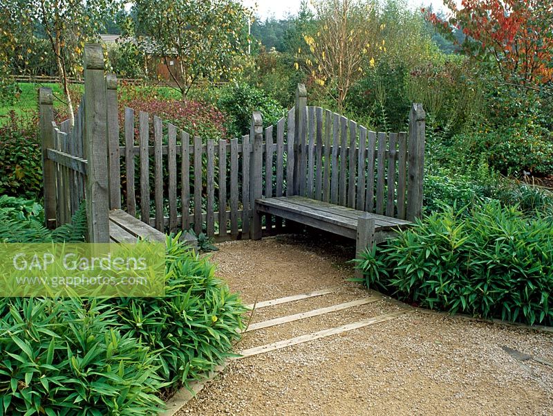 Wooden seat with Shibataea lancifolia in shady garden - Rosemoor
