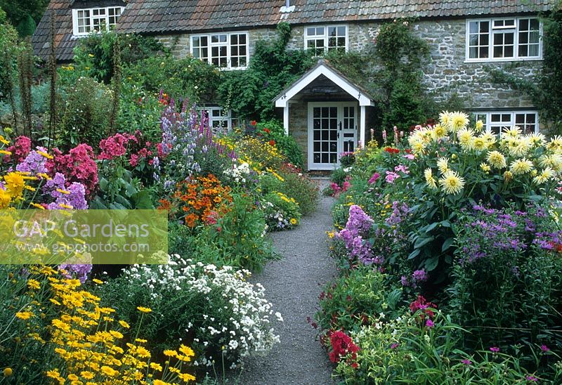 Cottage garden, path leading through borders of Helenium, Phlox, Dahlias, Asters to entrance door of house - Chiff Chaffs, Dorset 