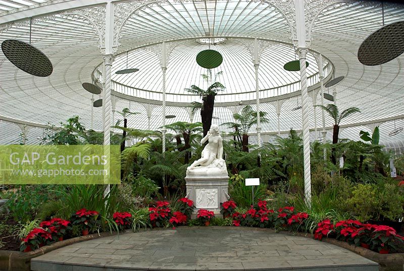 Statue inside conservatory with exotic plants and mixed Ferns - Kibble Palace, Glasgow Botanical Gardens
