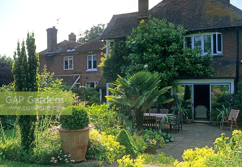 Informal country garden with patio area and mixed planting including Buxus, Taxus and Trachycarpus 