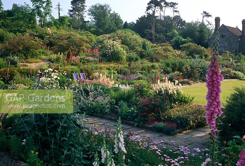 Mixed flowerbeds including Digitalis, Rosa and Osteospermum - Gravetye Manor, West Sussex