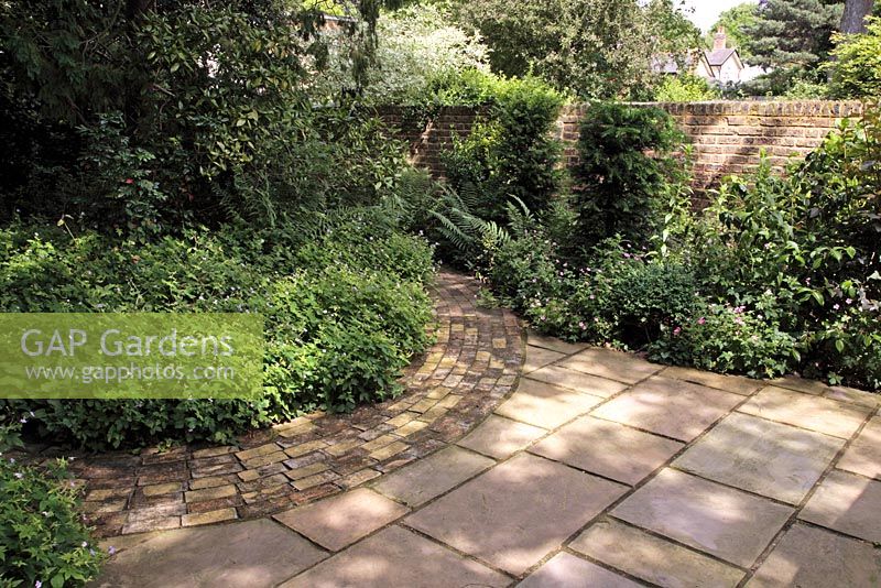 Mixed paving of Indian sandstone and brick in dappled shade, groundcover of Geranium oxonianum and Sylvaticum in borders, Aucuba, buxus, Taxus surrounding