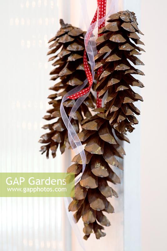 Pine cones hanging on ribbon over door as Christmas decoration