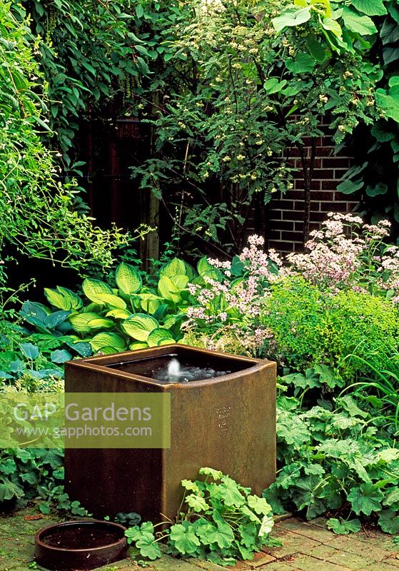 In a small suburban garden, a ceramic tank has been recycled from an old brewery to make a water feature. Surrounded by a planting of Hostas, Asters and Alchemilla mollis.