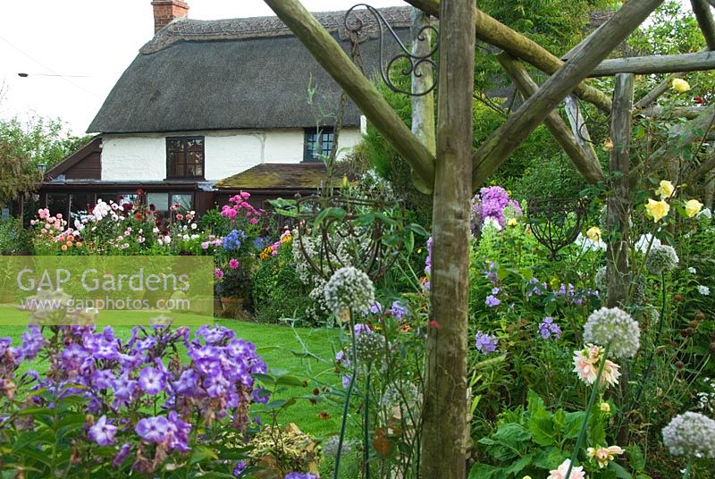 View across lawn to thatched cottage past phlox and leek flowers from wooden pergola - Hilltop, Stour Provost, Dorset