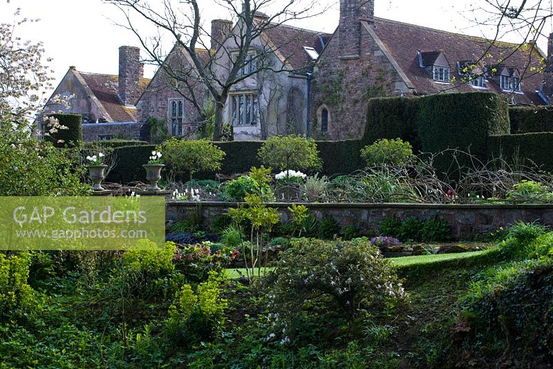 Cothay Manor Garden in Somerset in spring