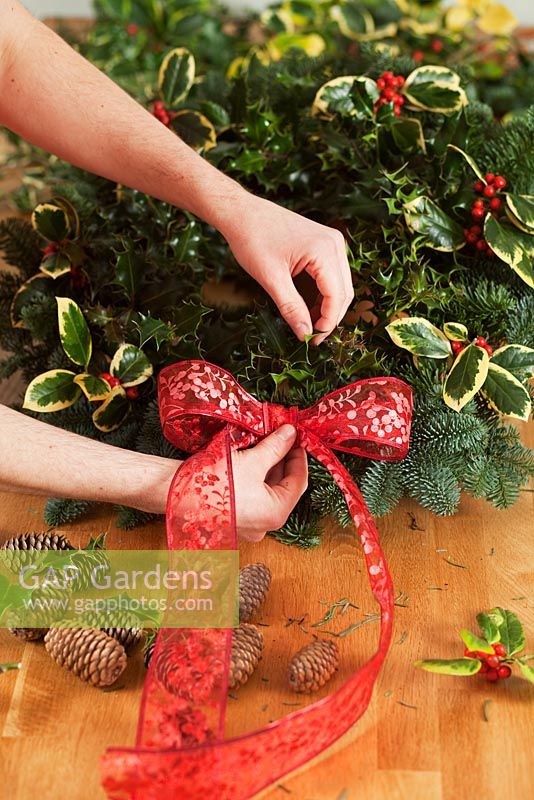 Making a Christmas wreath - Attaching red ribbon to holly wreath