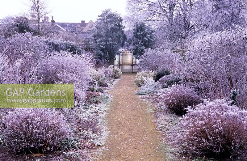 The entrance borders with winter hoar frost - Parham, Sussex 