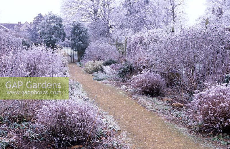 The entrance borders with winter hoar frost - Parham, Sussex 
