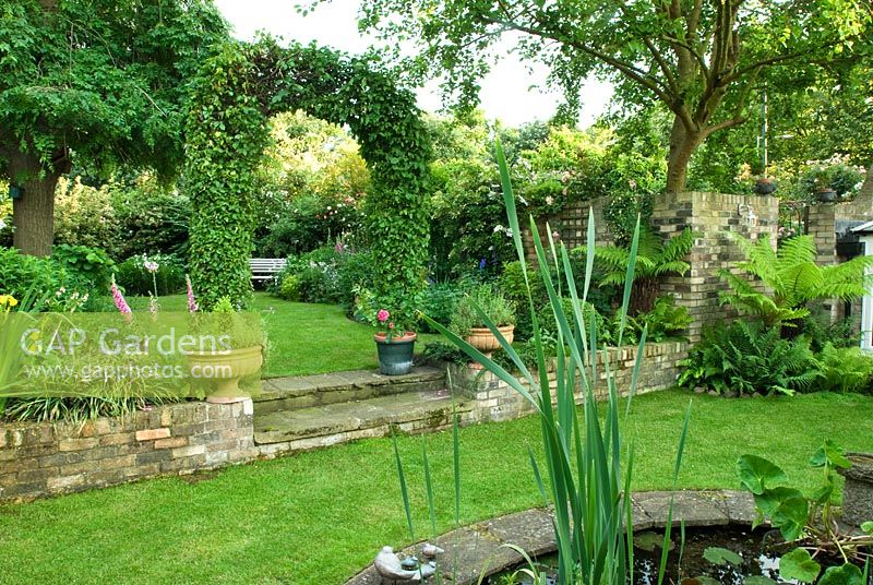 Secluded town garden with low wall and steps between different levels and Hornbeam arch - New Square, Cambridge