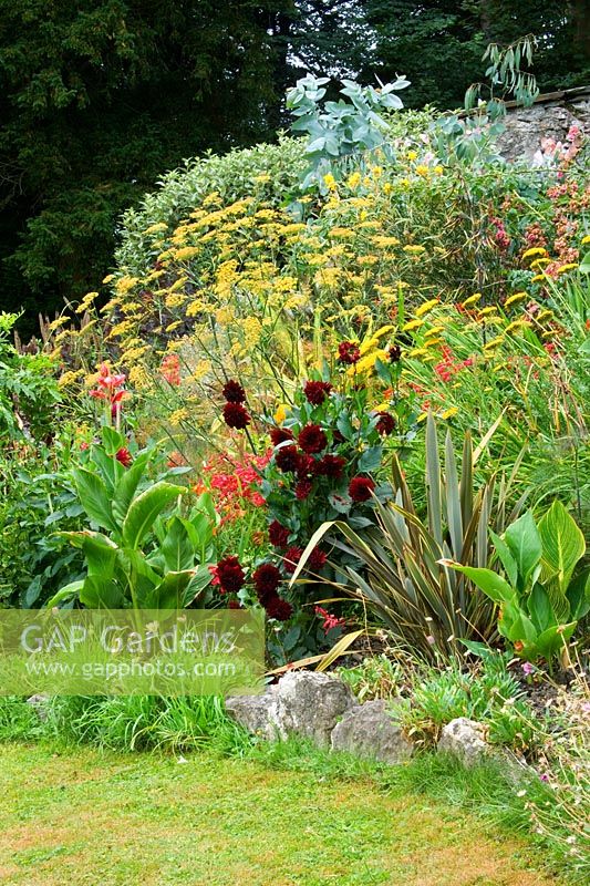 Hot border with Canna, Dahlia and Phormium - Yewbarrow House Gardens, Cumbria