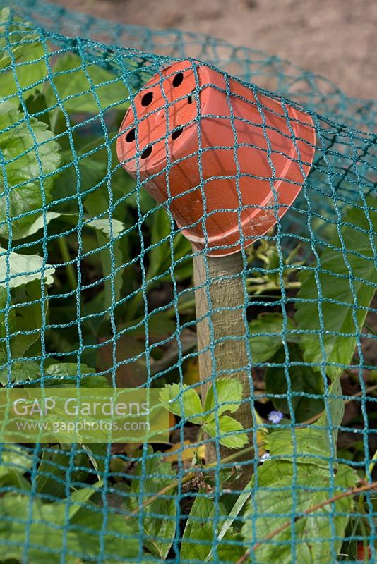 Pot used to cover wooden post supporting bird netting
