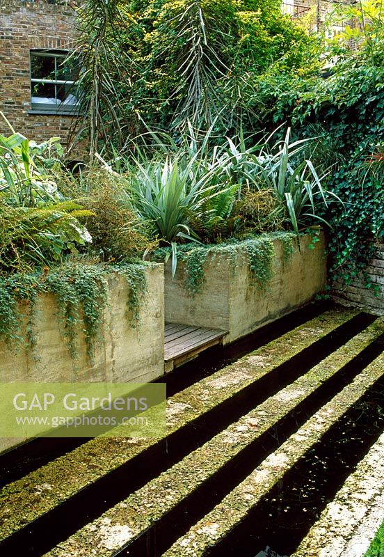 A London garden, concrete forms the raised beds before this dramatic fish pond. Different widths of textured concrete alternate with bands of water. Plants include Astelia chathamica, Pseduopanax crassifolius, Acaena microphylla