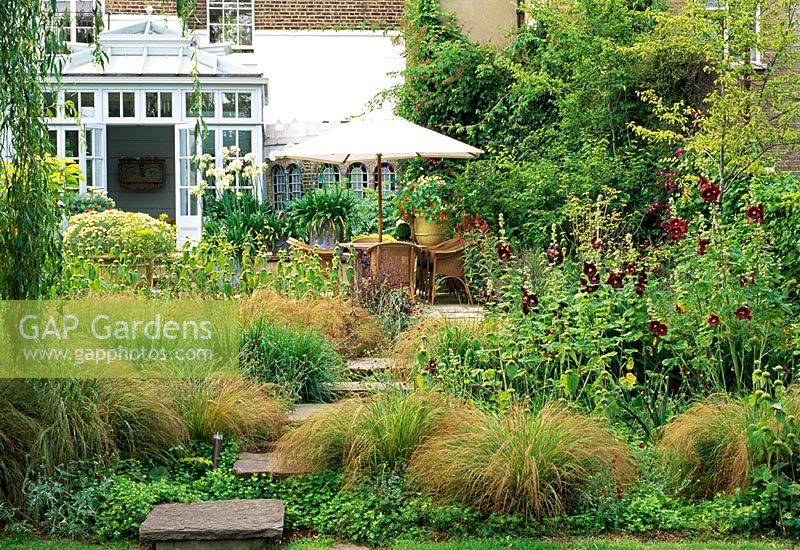 Raised pavers lead back towards the house and dinning area in this London garden, over this planting of Stipa arundinacea, ruby red holly hocks and yellow Phlomis russeliana.
