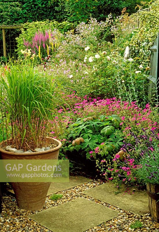 A large boarder of colourful perennials. Miscanthus grass and lavender in a pot.