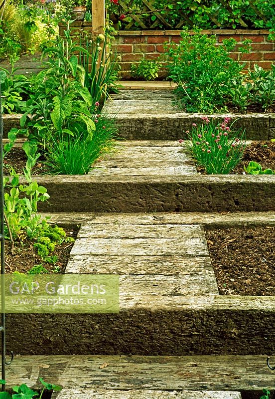 Railway sleepers contain these vegetable beds and provide steps on this gentle slope