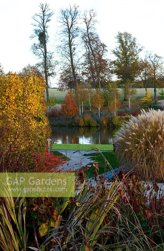 Autumn colour in the walled garden - view past beech hedge to the pool and The Birkett Long Millenium Walk - Marks Hall, Essex