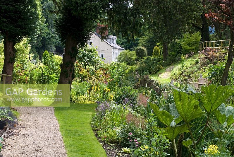 Garden with sloping sides and borders of mixed herbaceous perennials, shrubs, mature yew trees and gravel path at Cascades Gardens, Derbyshire NGS 