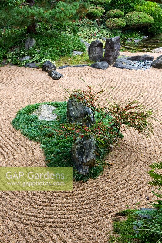 The Zen meditation gravel garden with rocks, raked gravel, 'Turtle Island' with Cotoneaster horizontalis