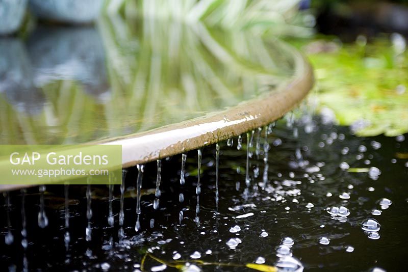 Water feature - Bridget McCrum's garden at Hamblyn's Coombe, Devon
