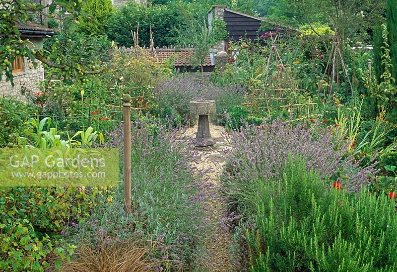 Central York stone birdbath in front garden with lavender either side of pathway - Saltford Farm, Bath, UK