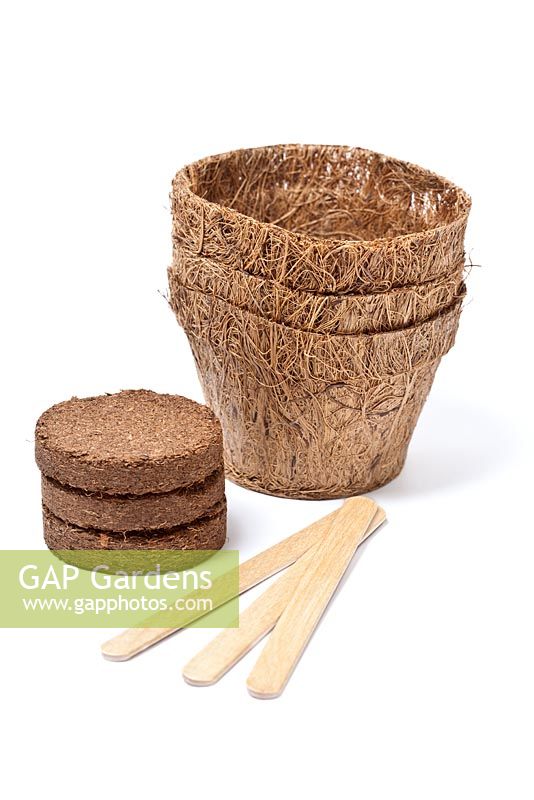 Coir pots compost disks and wooded labels