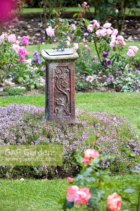 Sundial in a cottage garden with thyme and roses