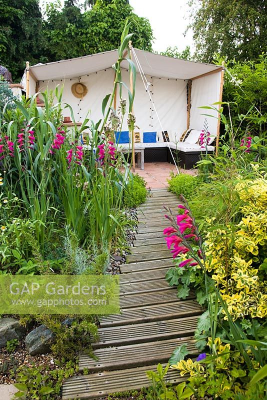 Wooden decking leading through drought tolerant planting to a Moroccan style tent - Planting includes Arundo donax, Dierama pendulum, Gladiolus byzantinus and Eleagnus ebbingei 'Limelight'