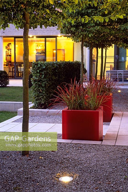 An alley of pleached hornbeams with uplighting lead back to the house, red fibreglass planters with Imperata cylindrica - Belgium