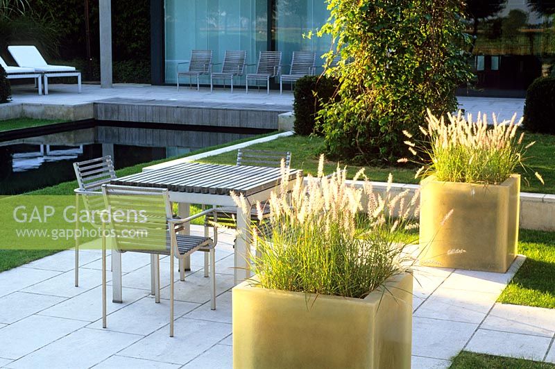 White fibreglass planters of Pennisetum beside the dining area, near the pool