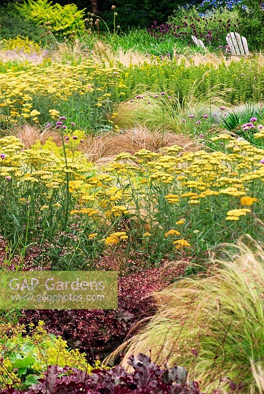 Achillea 'Terracotta', Heuchera, Stipa tenuissima, Spear Grass, Carex, Sedge and  Ligularia - Dennis Schraders's Garden, USA
