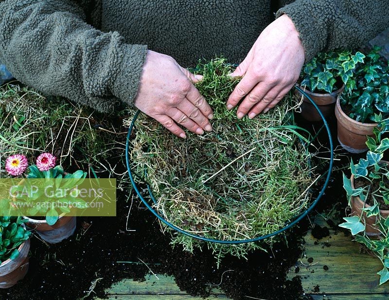 Step 1 of making a spring hanging basket - Layer of sphagnum moss being packed around basket