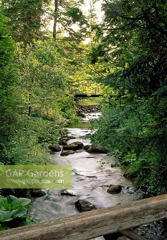 Page's Brook, part of the Stream Garden at Reford Gardens in Quebec, also known as Les Jardins de Metis