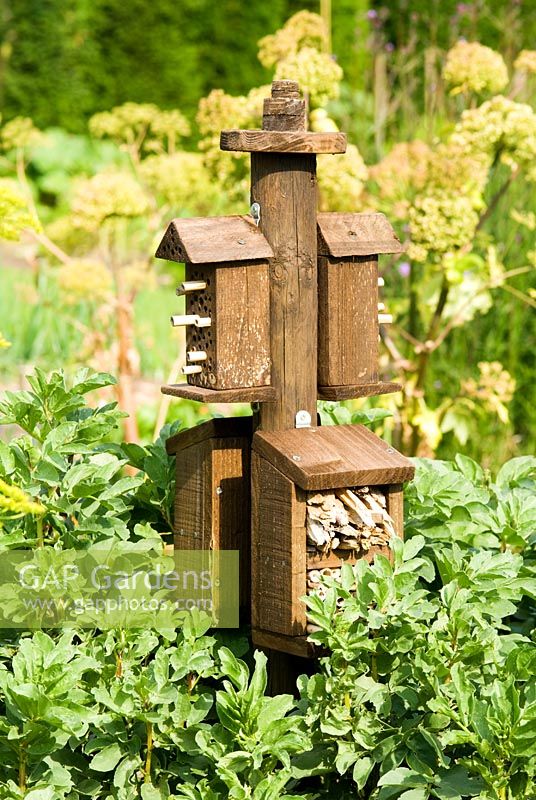 Insect boxes in a vegetable garden