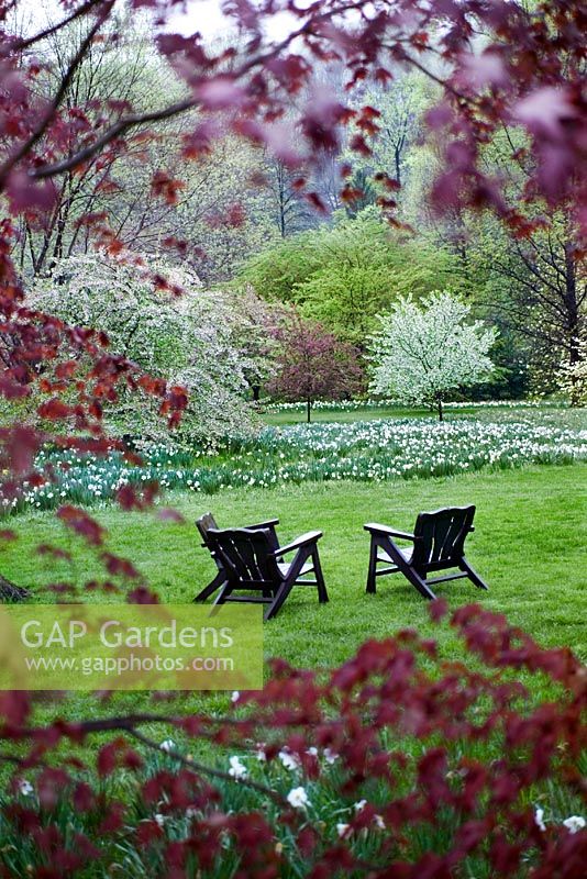 Wooden deckchairs on lawn amongst spring flowers and blossom in the Orchard Garden - Chanticleer Garden, Pennsylvania, USA
