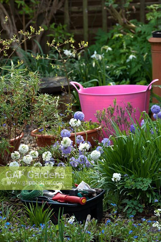 Gardeners toolbox and pink trug in a garden
