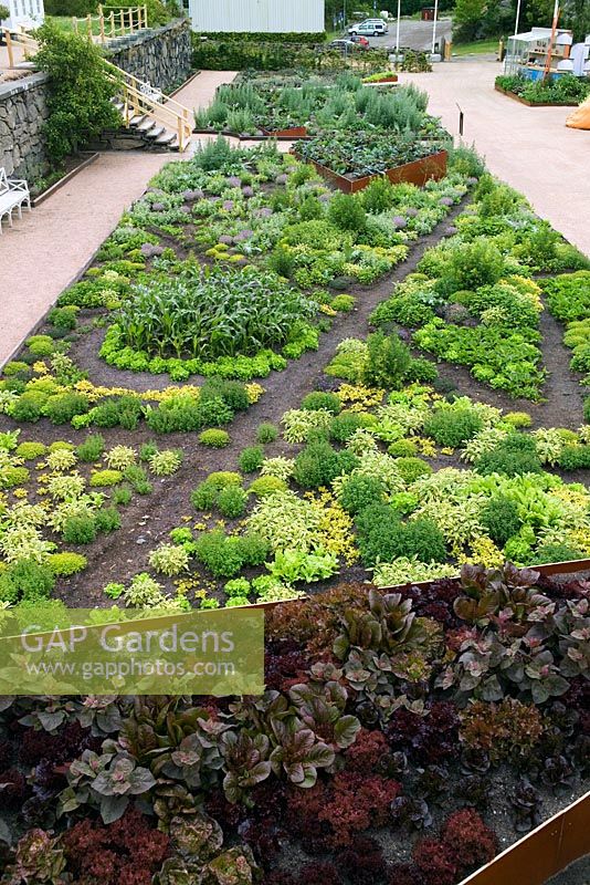 Contemporary potager garden by Joakim Seiler, Head Gardener at Gunnebo. Bed with red vegetables including lettuces - Gunnebo Slott, Sweden
