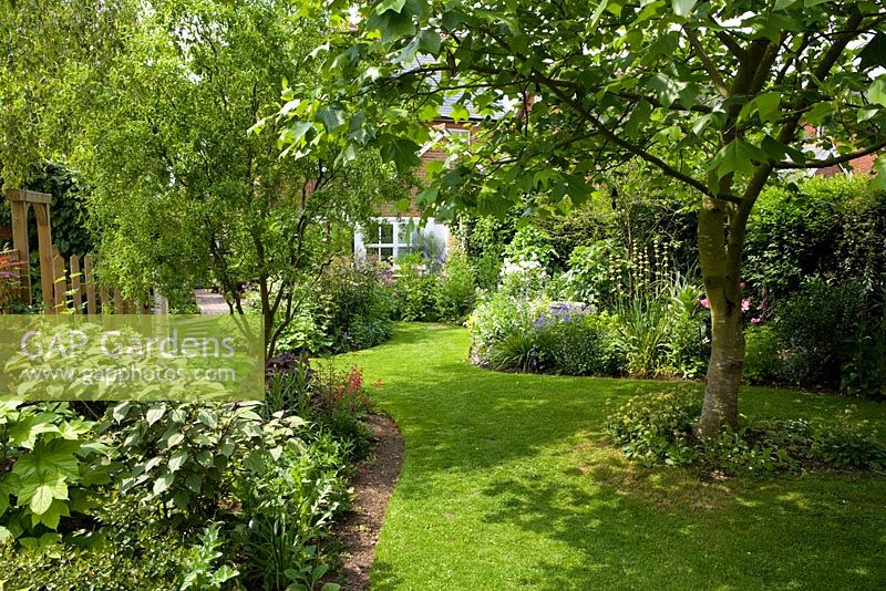Looking down the garden towards the house, Liriodendron tulipifera to right, curving lawn and borders - Eldenhurst